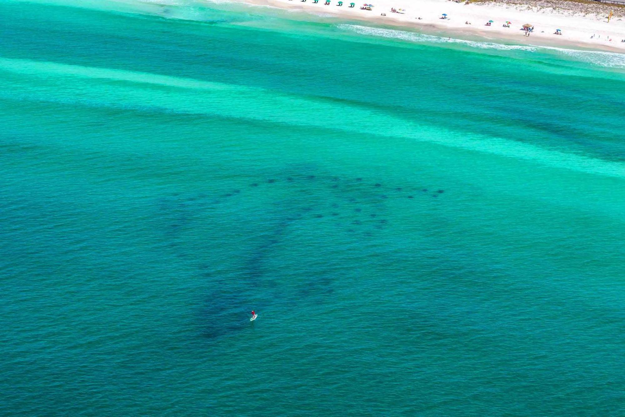 Villa Aqua Vida Destin Esterno foto